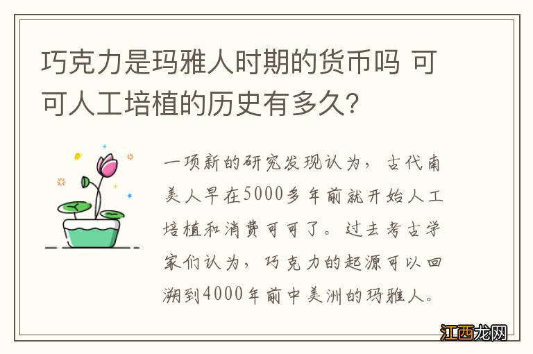 巧克力是玛雅人时期的货币吗 可可人工培植的历史有多久？