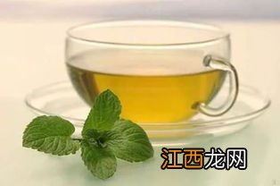 吃薄荷为什么会觉得凉-吃薄荷凉凉的是什么原因
