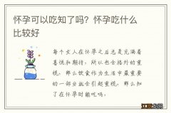 怀孕可以吃知了吗？怀孕吃什么比较好