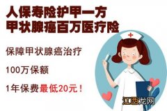 护甲一方甲状腺癌百万医疗险哪个公司的？