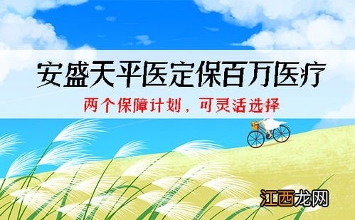 安盛天平医定保在哪里买？