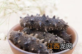 活海参放了一夜死了还能吃吗-新鲜海参隔夜死了还能吃吗