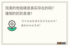 完美的他陆啸是真实存在的吗？撞倒的奶奶是谁？