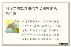 网箱大黄鱼养殖技术之如何预防病虫害