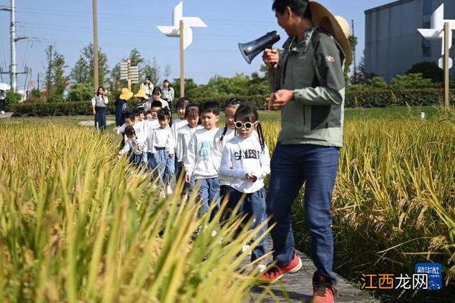 农场里的幼儿自然课