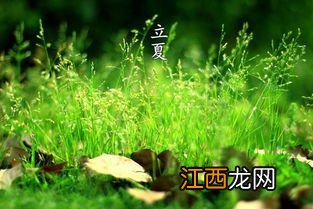 2022年立夏是暑伏吗-立夏过后温度怎么样