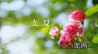 2022年立夏前一天可以结婚吗-立夏前一天结婚吉利吗