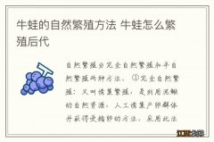 牛蛙的自然繁殖方法 牛蛙怎么繁殖后代