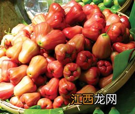 莲雾和无花果可以一起吃吗-莲雾和无花果一起泡酒可以吗