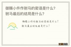 御赐小仵作驸马的密语是什么？驸马最后的结局是什么？