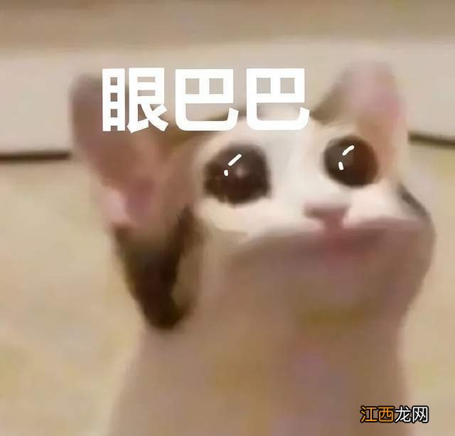 EVE曾经最大的联盟终归是崩溃了,没有玩家们所期待的最终决战