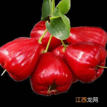 莲雾红宝石和黑金刚哪个好吃-红宝石莲雾和黑金刚莲雾区别