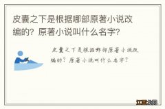 皮囊之下是根据哪部原著小说改编的？原著小说叫什么名字？