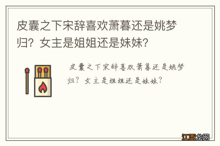 皮囊之下宋辞喜欢萧暮还是姚梦归？女主是姐姐还是妹妹？