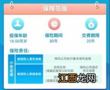 平安小安定寿期满返还吗？