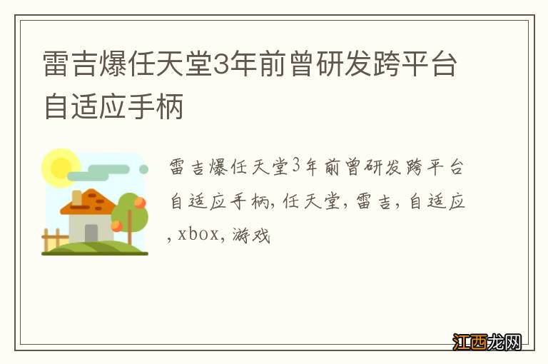 雷吉爆任天堂3年前曾研发跨平台自适应手柄