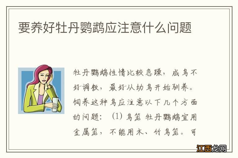 要养好牡丹鹦鹉应注意什么问题