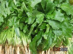 做青团的野菜叫什么名字-青团用什么野菜做的