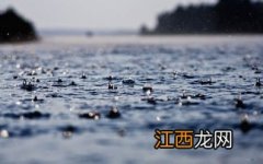 下雨天怎么发朋友圈表示一下心情2022最新-下雨天搞笑文案大全