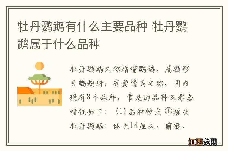 牡丹鹦鹉有什么主要品种 牡丹鹦鹉属于什么品种