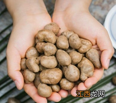 山药豆和山药有关系吗-山药豆和山药有什么关系