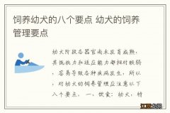 饲养幼犬的八个要点 幼犬的饲养管理要点