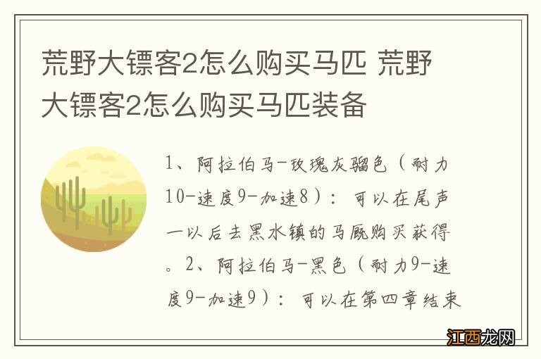 荒野大镖客2怎么购买马匹 荒野大镖客2怎么购买马匹装备