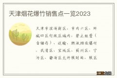 天津烟花爆竹销售点一览2023