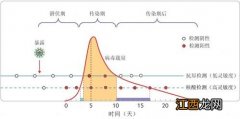 抗原检测和核酸检测哪个更准确-核酸检测比抗原检测更准吗