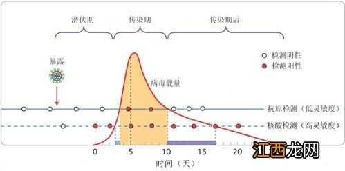 抗原检测和核酸检测哪个更准确-核酸检测比抗原检测更准吗