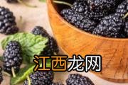 玉米油可以用什么代替 黄油替换玉米油的比例