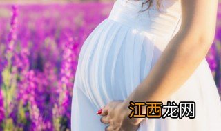 玉米须茶孕妇可以喝吗，玉米须泡茶孕妇可以喝吗