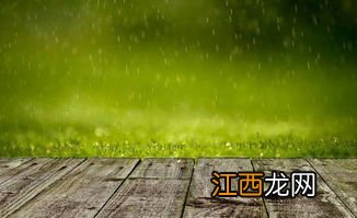 谷雨节气会有春雷吗-谷雨容易下雨吗