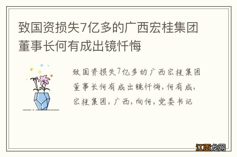 致国资损失7亿多的广西宏桂集团董事长何有成出镜忏悔