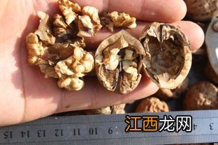 去年的核桃仁有味道怎么办-核桃仁放久了有油哈味还能吃吗