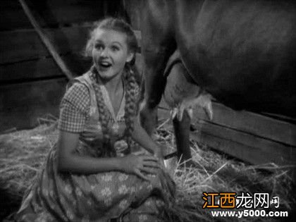 1871年芝加哥大火,三分之一城市被毁,凶手竟是一头奶牛