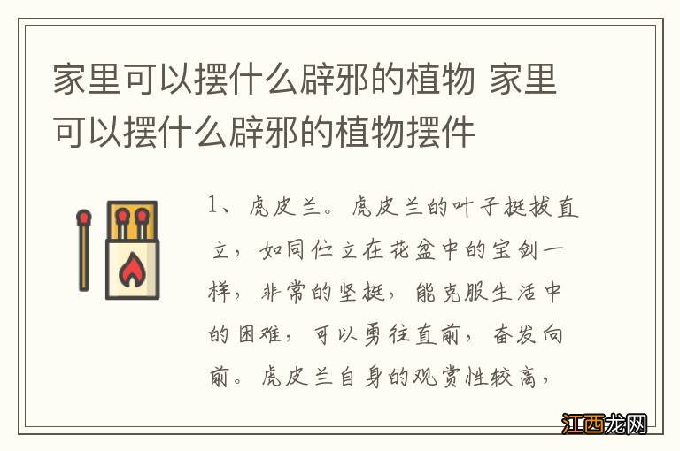 家里可以摆什么辟邪的植物 家里可以摆什么辟邪的植物摆件
