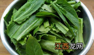 油麦菜食用禁忌 油麦菜食用禁忌是什么