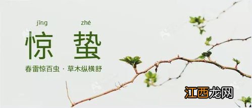 惊蛰之后穿什么衣服2023-惊蛰以后还有冷天吗