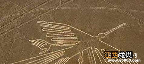 纳斯卡荒原巨画究竟有什么涵义?