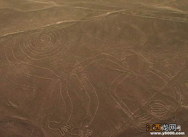 纳斯卡荒原巨画究竟有什么涵义?