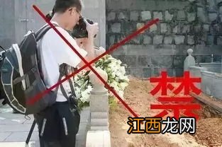 2022南京清明节上坟一个墓地可以预约几个人-南京清明节上坟怎么预约