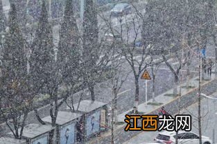 春分后下雪什么兆头2023-春分下雪好吗