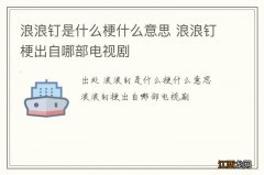 浪浪钉是什么梗什么意思 浪浪钉梗出自哪部电视剧