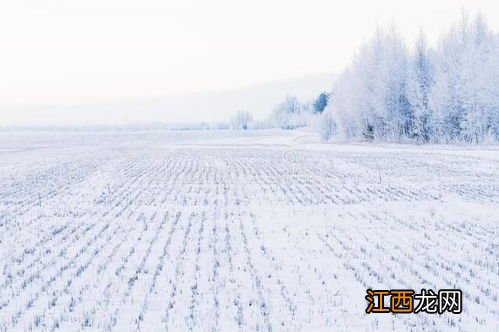 2022年春天为什么这么冷-今年春天怎么这么冷2022