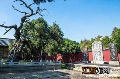 泰山岱庙的由来 岱庙：悠久的历史文化由来