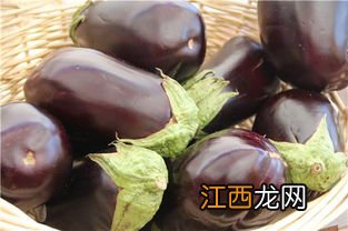 肺结核为啥不能吃茄子-肺结核吃茄子过敏了怎么办