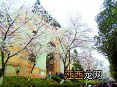 2022年清明节假期武汉大学可以进吗-清明节武汉大学对外开放吗