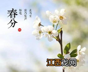 春分出九了么2023-春分是九九最后一天吗