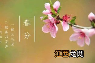 春分出九了么2023-春分是九九最后一天吗